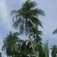 Dsc02073